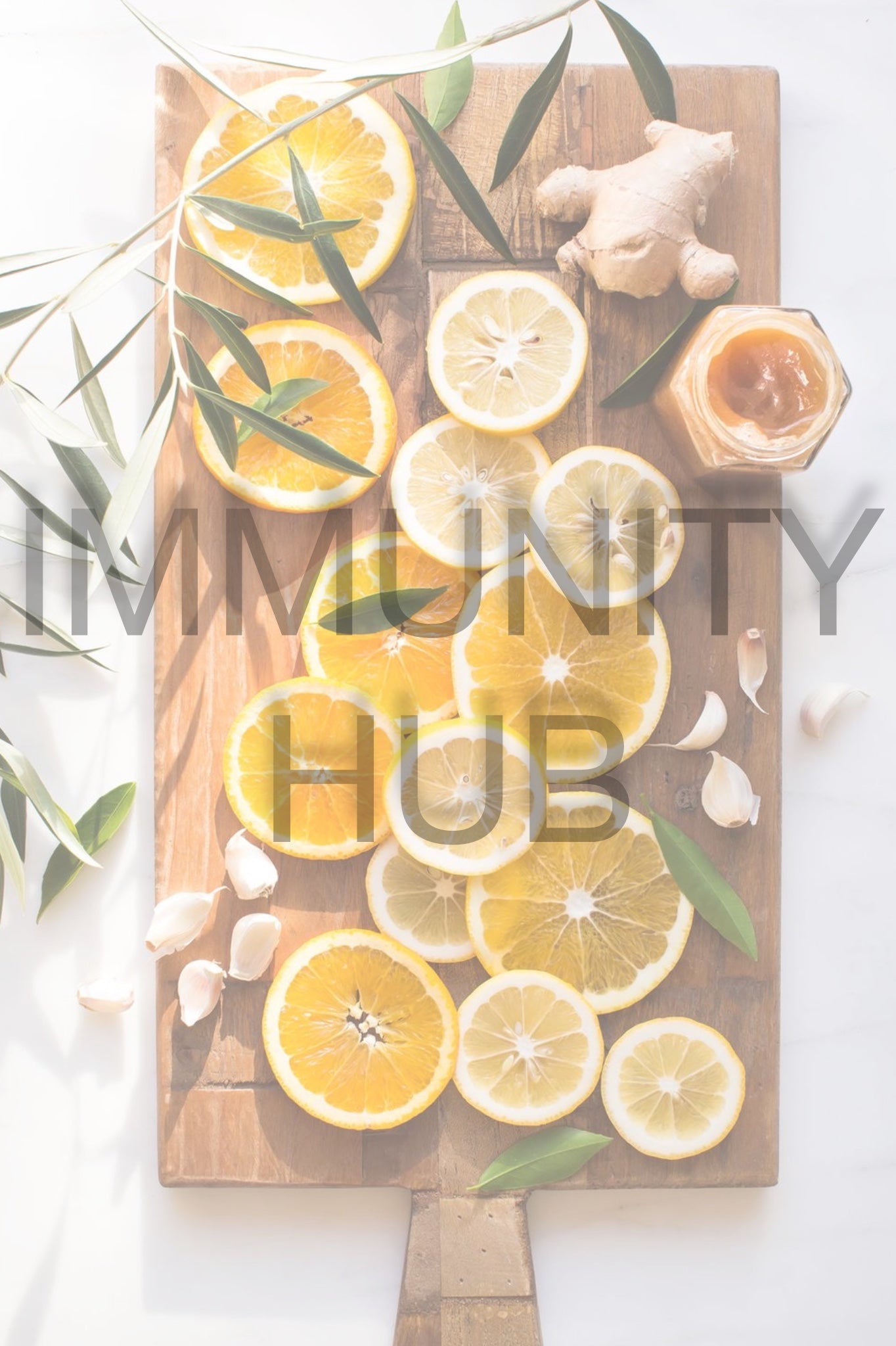 IMMUNITY HUB
